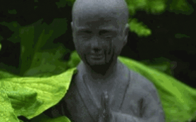 Sensitivity – Gift or Curse?