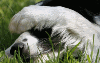 How Your Thoughts Keep You Stuck